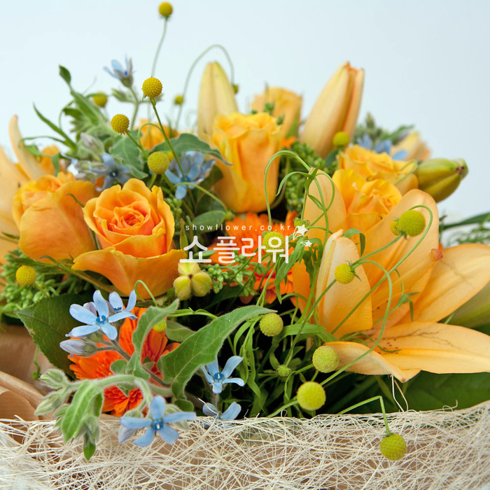 상세이미지