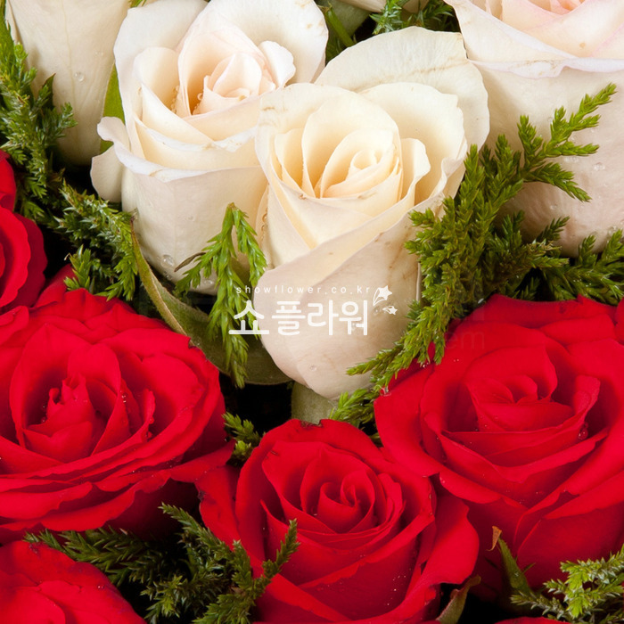 상세이미지