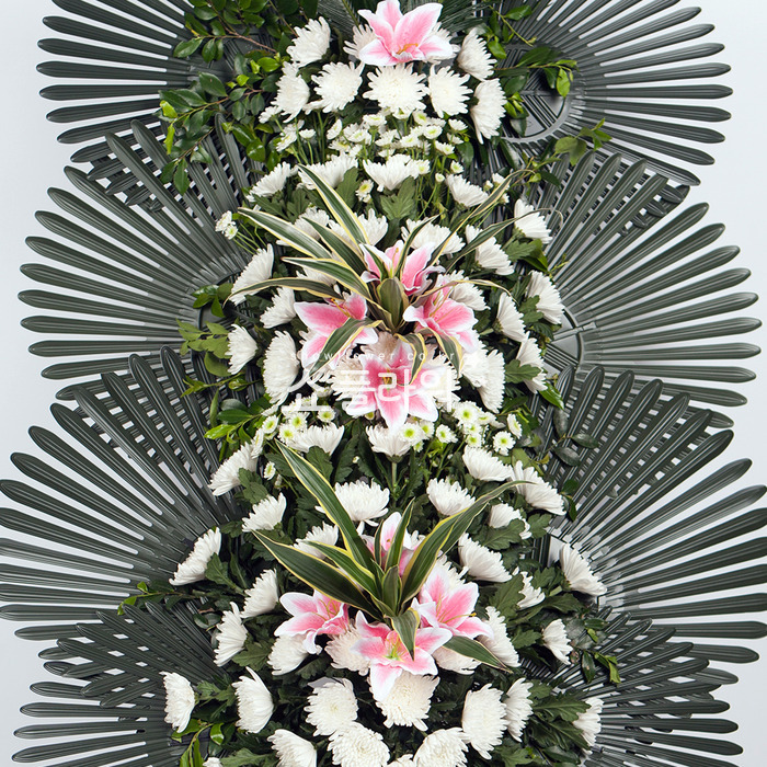 상세이미지