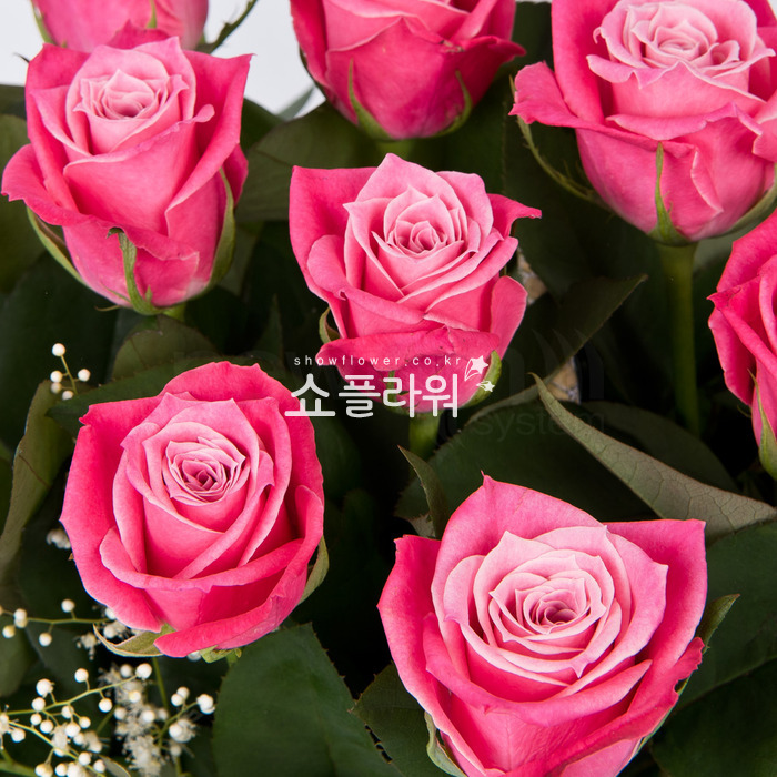 상세이미지