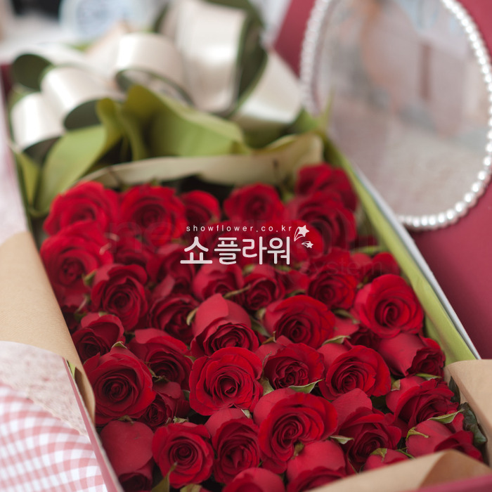 상세이미지