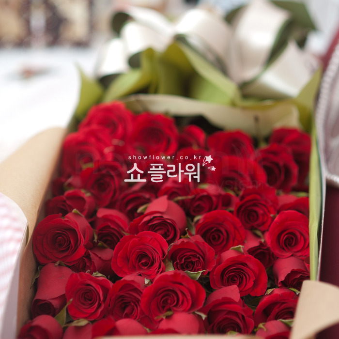 상세이미지