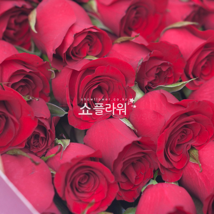상세이미지