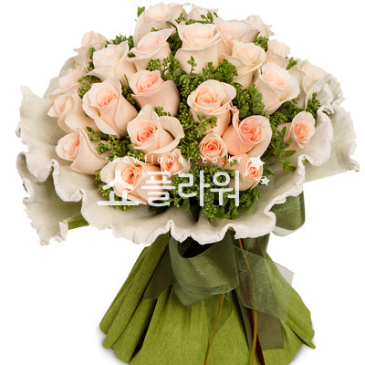 부르트