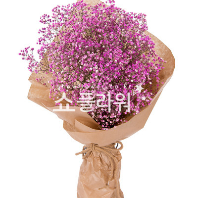 핑크안개다발