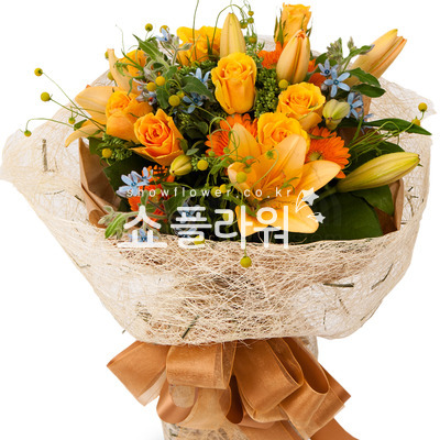 신비한 사람