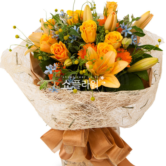 상세이미지