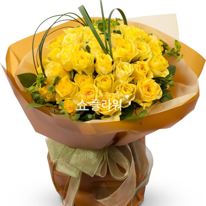 상세이미지