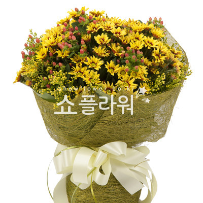 꿀벌의부름