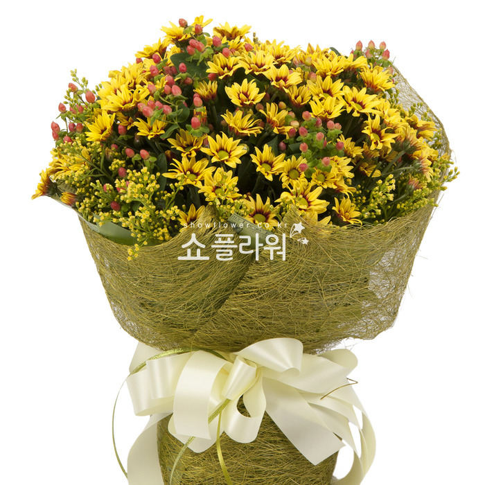 상세이미지