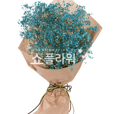 파란안개다발
