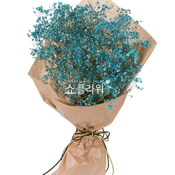 상세이미지