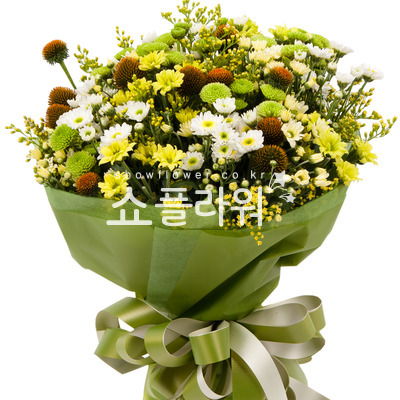 가을빛3