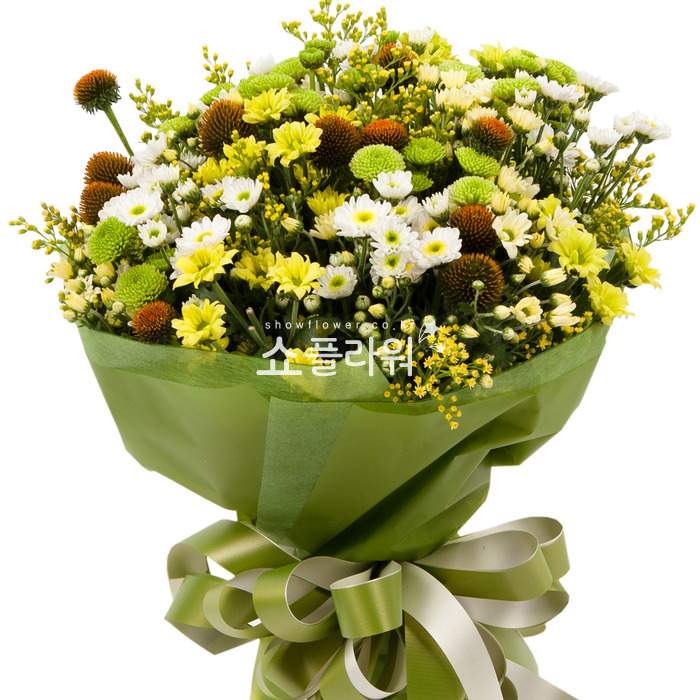 상세이미지