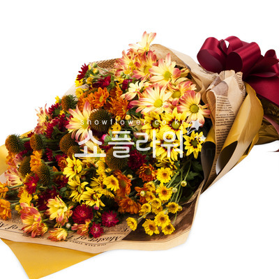 가을소국과의 이야기