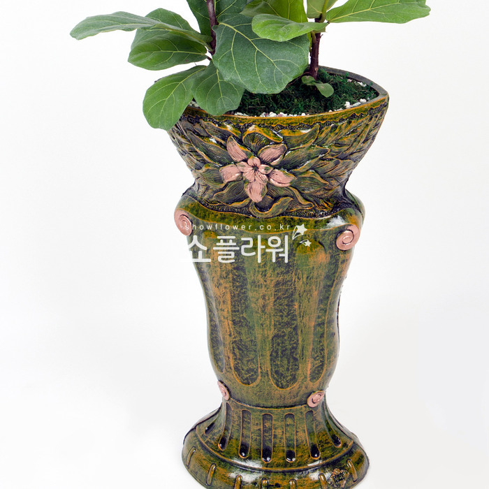 상세이미지