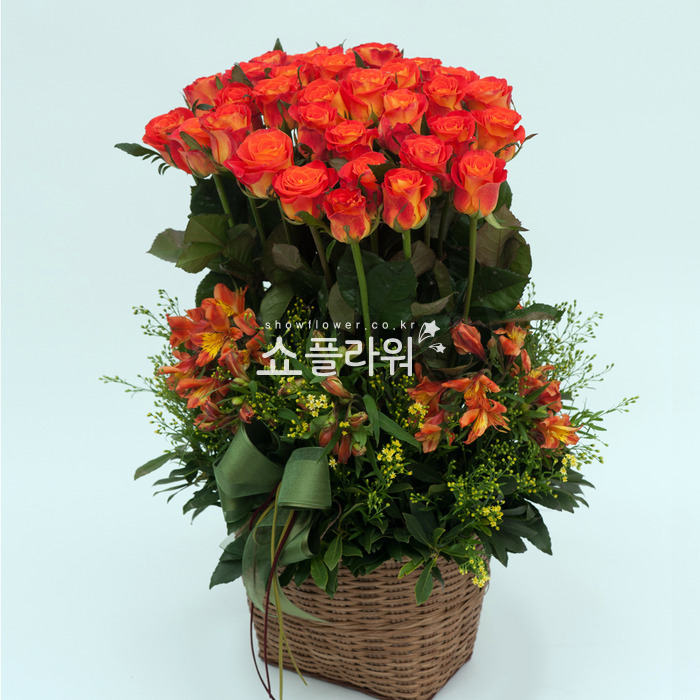 상세이미지