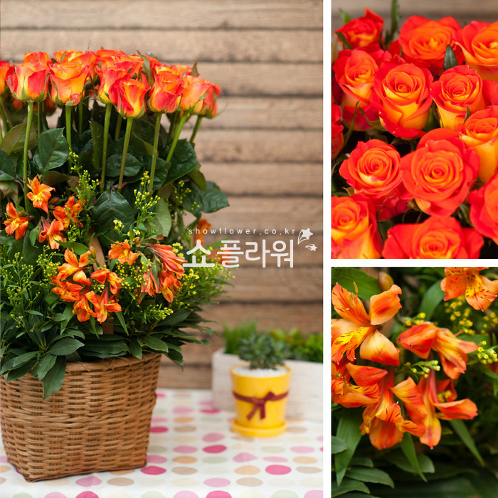 상세이미지
