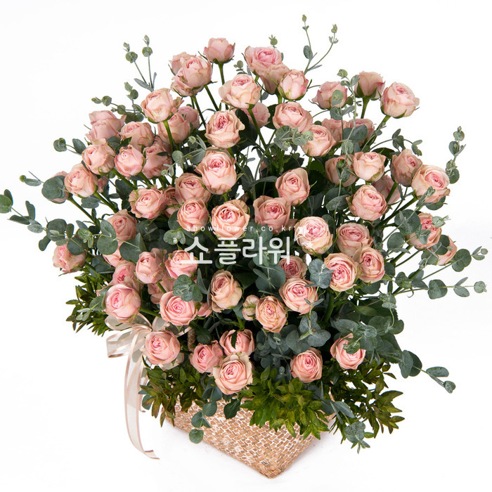 상세이미지