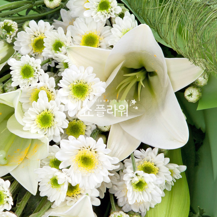 상세이미지