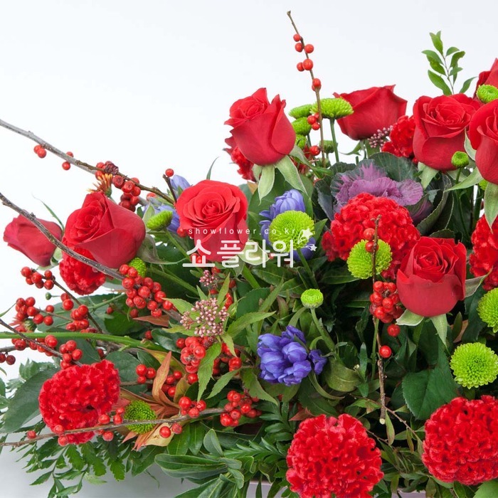 상세이미지