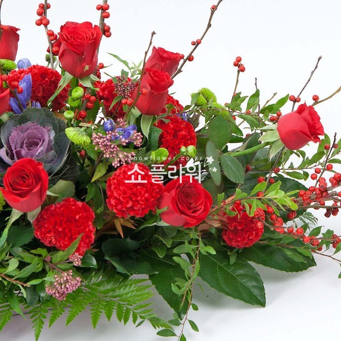 상세이미지