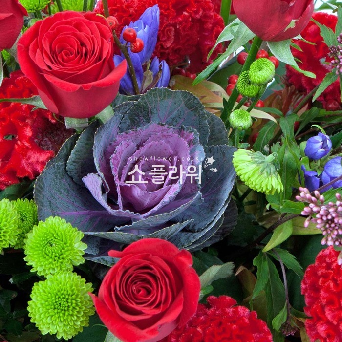 상세이미지