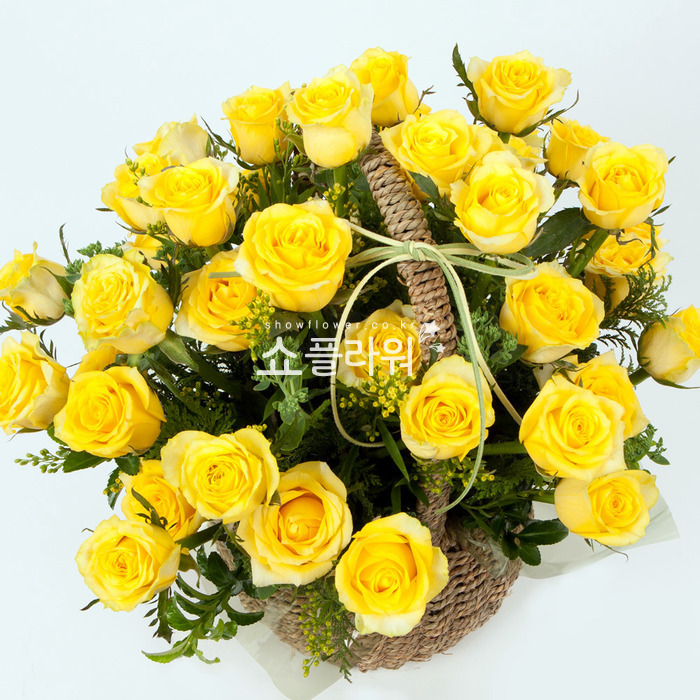 상세이미지