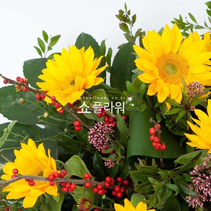 상세이미지