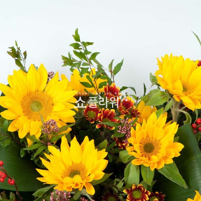 상세이미지