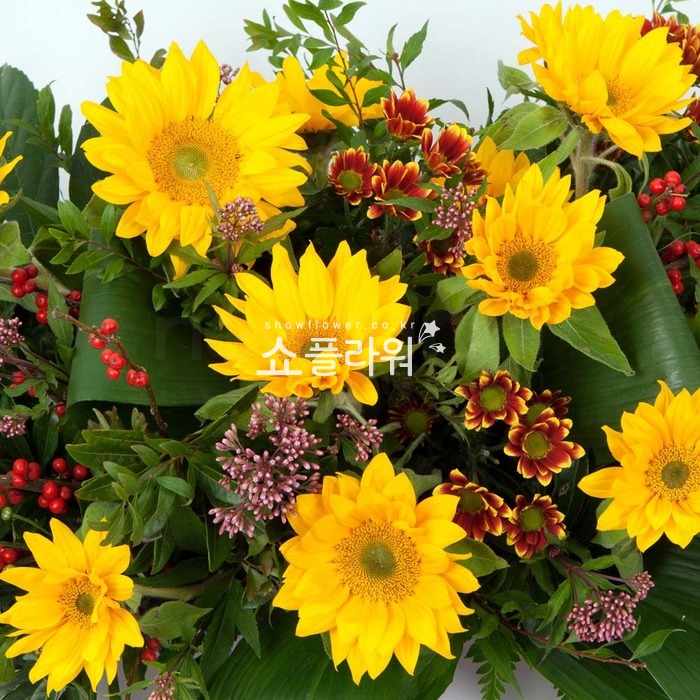 상세이미지