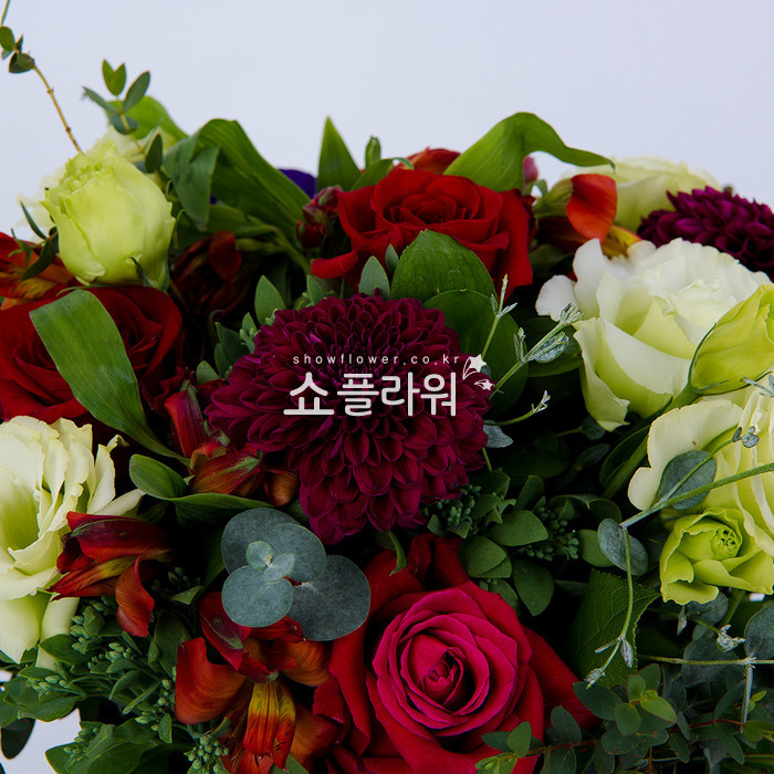 상세이미지