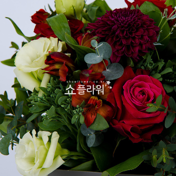 상세이미지