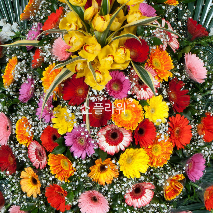 상세이미지