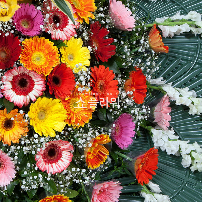 상세이미지