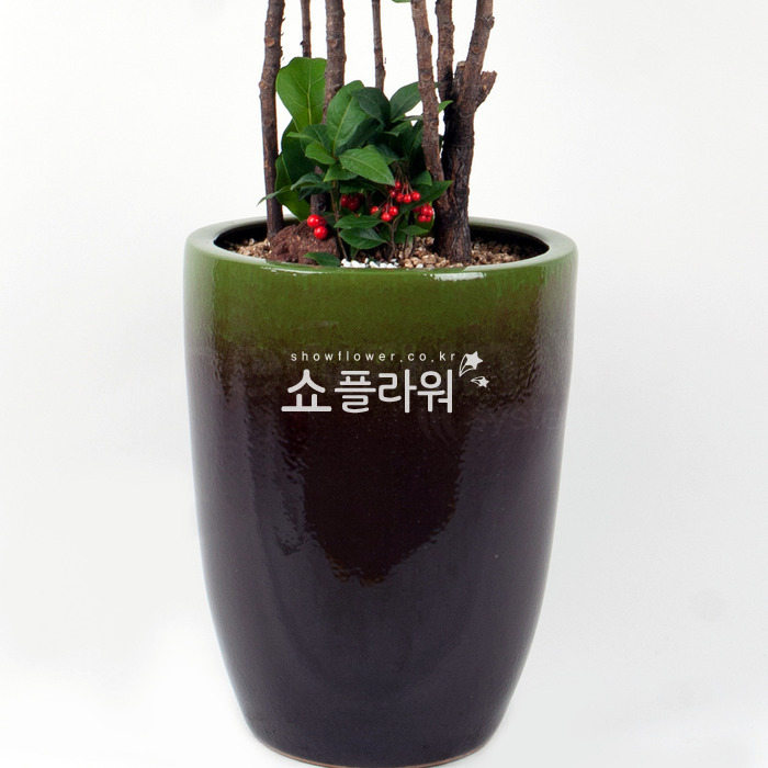 상세이미지