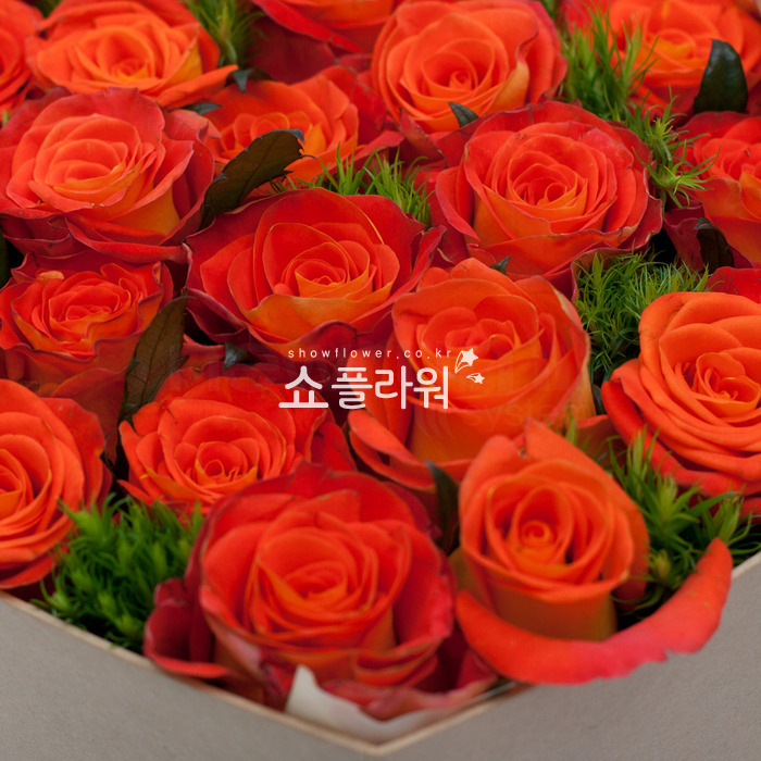 상세이미지