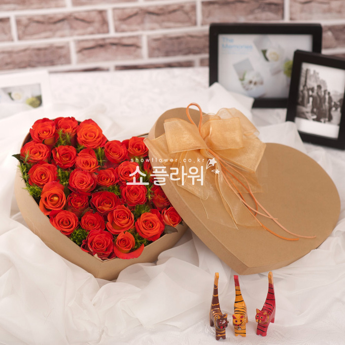 상세이미지
