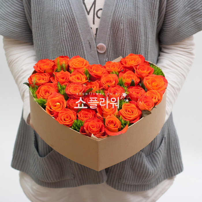 상세이미지