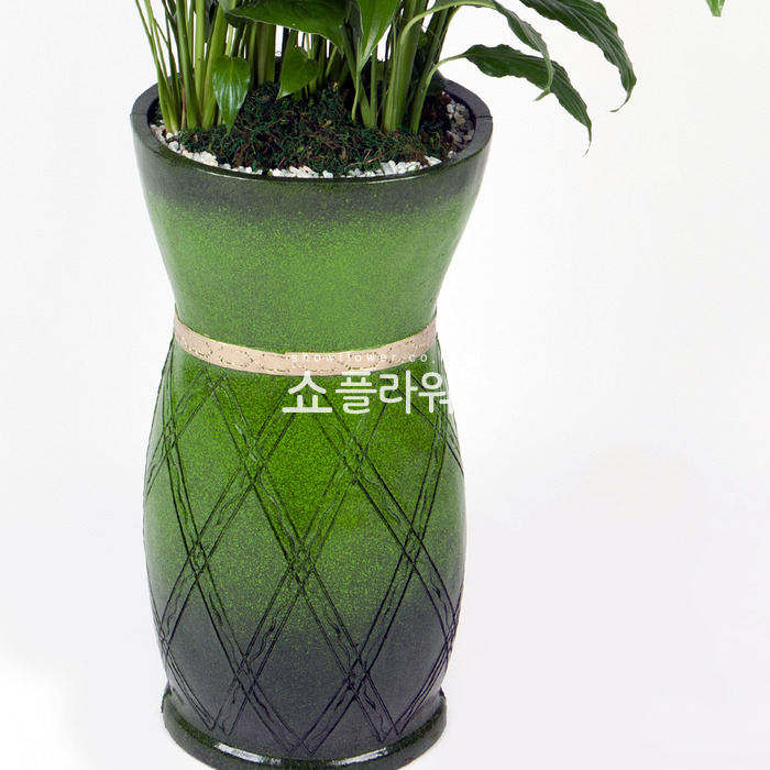 상세이미지