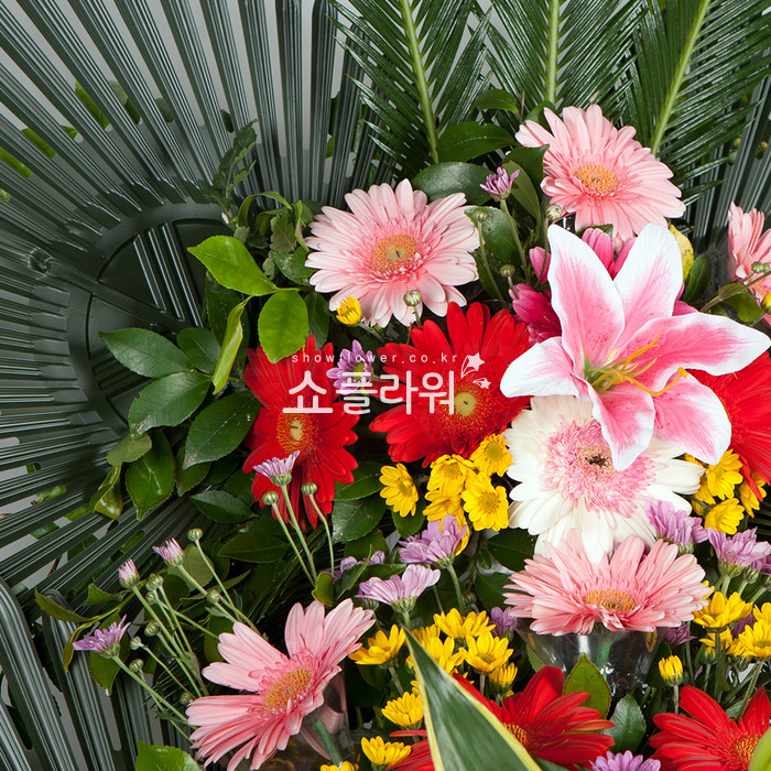 상세이미지