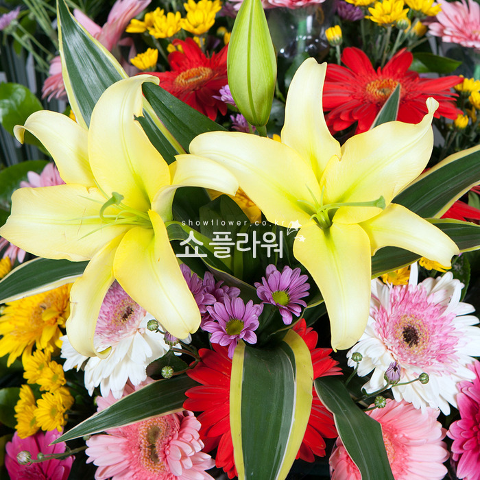 상세이미지