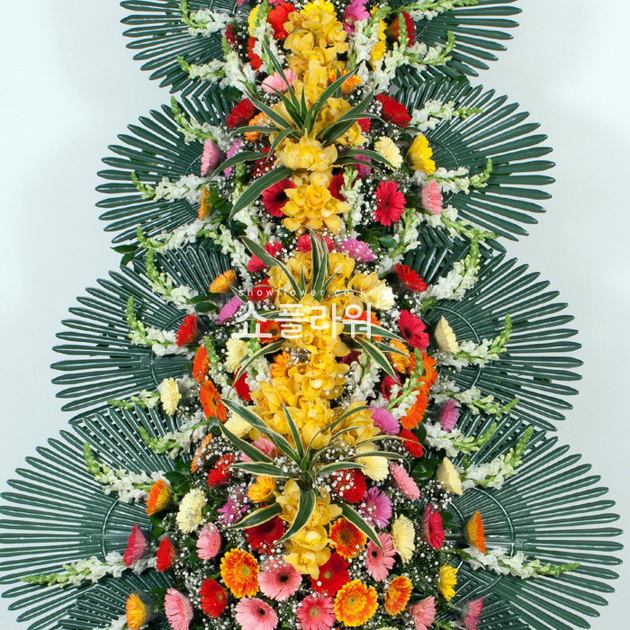 상세이미지