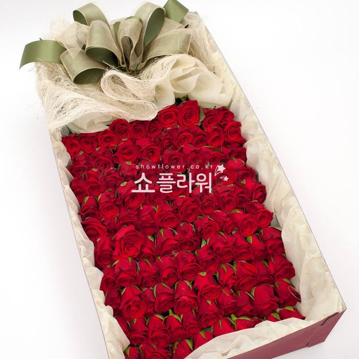 상세이미지