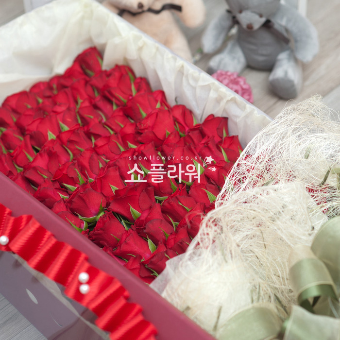 상세이미지