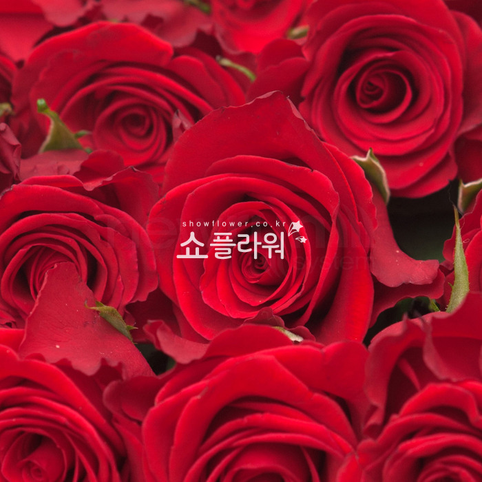 상세이미지