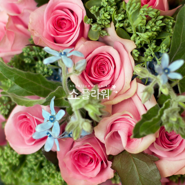 상세이미지