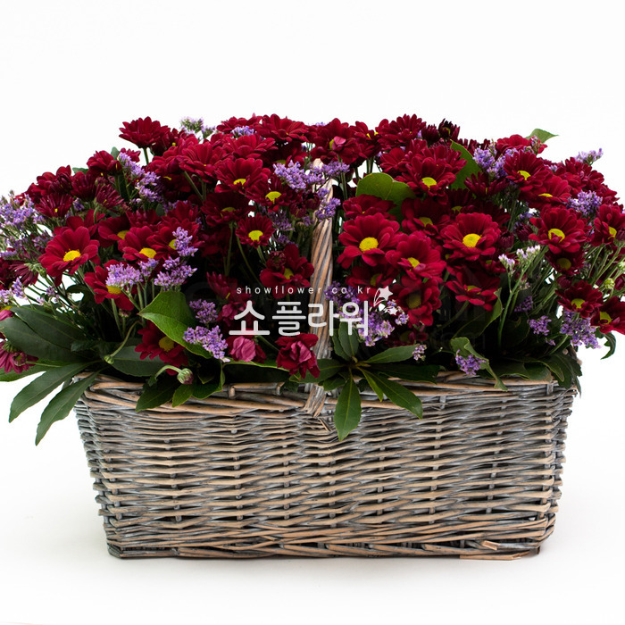 상세이미지