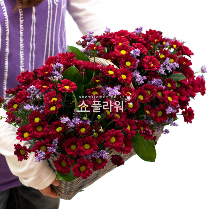 상세이미지
