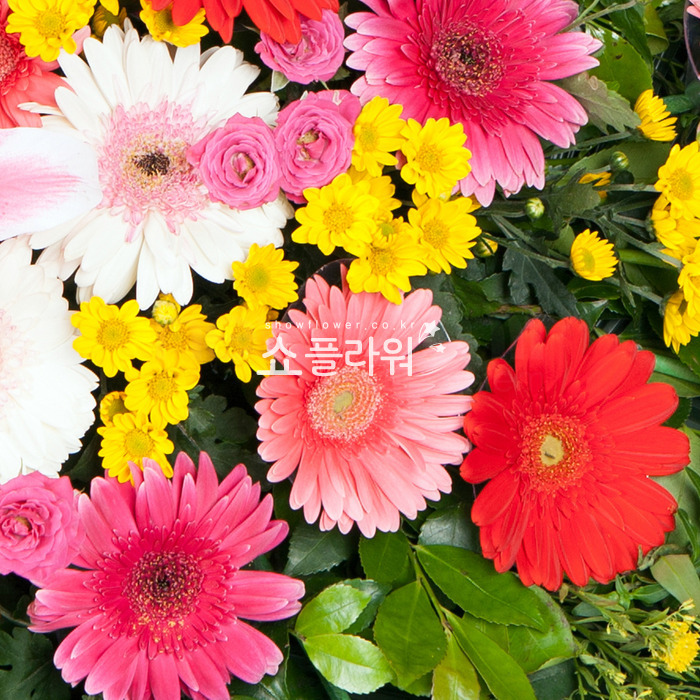 상세이미지